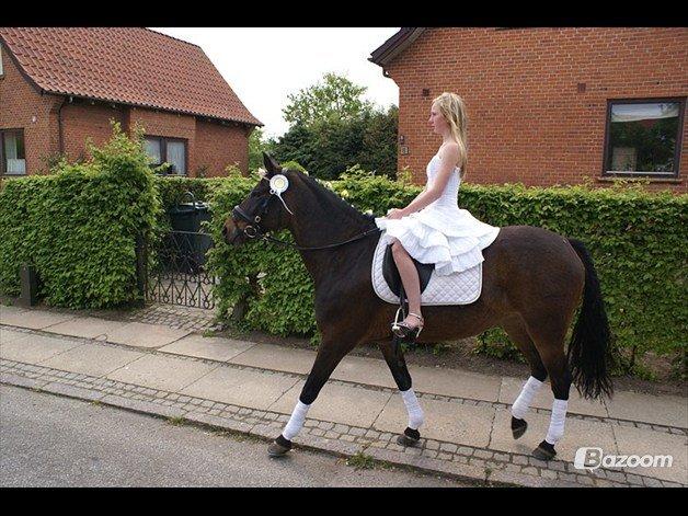 Anden særlig race Tequila alias La Amia billede 14