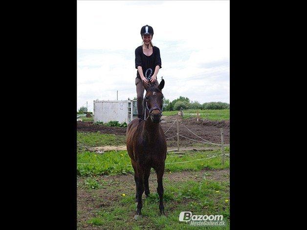 Anden særlig race Tequila alias La Amia billede 15