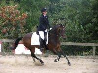 Anden særlig race Tequila alias La Amia billede 17