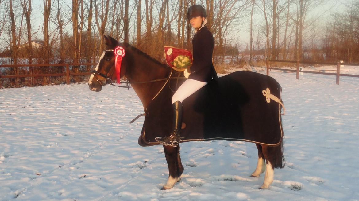 DSP Ringo - 1. plads i PRI til 65%, 8. Dec 2012 billede 1