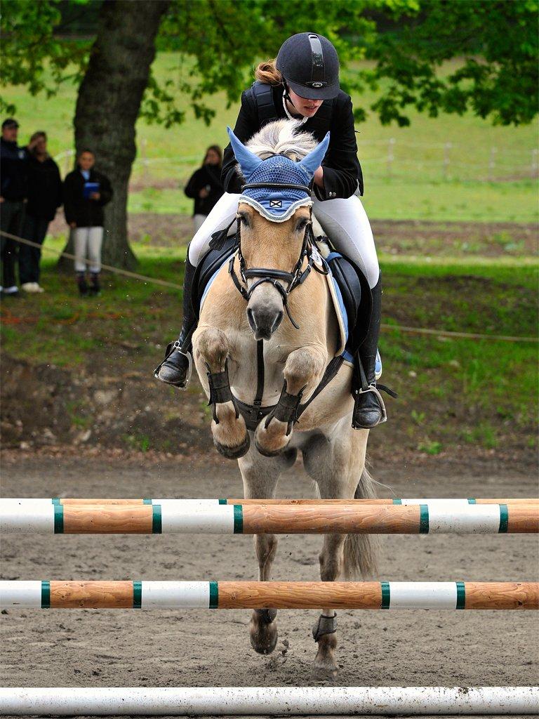 Anden særlig race Sylvester (Udlånt) - Hold op var er du sej! 1. uplaceret i LB på EGE :) Foto: Animal-Print billede 12