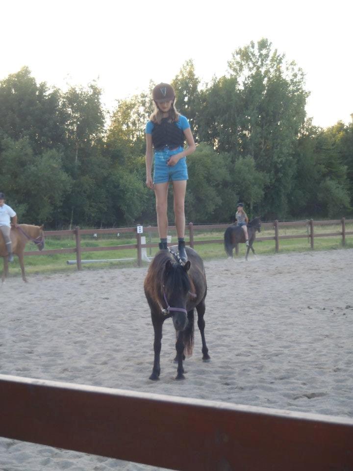 Anden særlig race Wesselhoff´s Nala <3 Solgt og savnet <3 billede 12