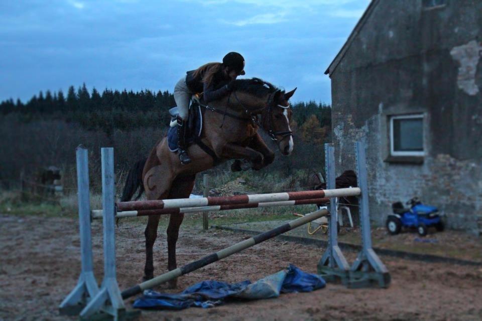 Holstener Ca-Reim billede 8