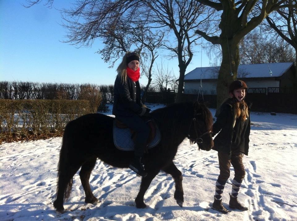 Anden særlig race Wesselhoff´s Nala <3 Solgt og savnet <3 billede 14