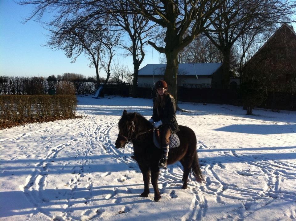 Anden særlig race Wesselhoff´s Nala <3 Solgt og savnet <3 billede 15
