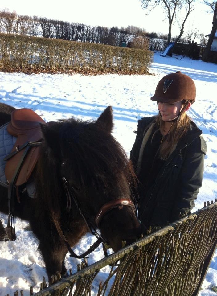 Anden særlig race Wesselhoff´s Nala <3 Solgt og savnet <3 billede 16