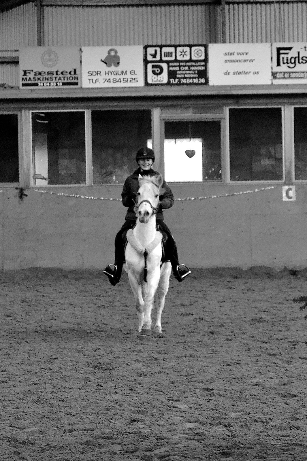 Connemara Vimmelgårdens Coco <3 - Som man kender Coco bedst, alt for frisk! billede 20