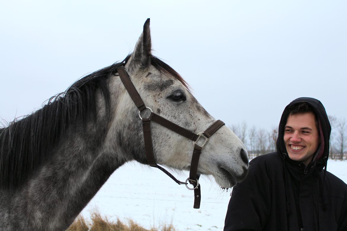 Sportsaraber (A) LOBERGS ARABIAN DACAPO - Dacapo og Morten :)
d. 26.01.13  billede 7