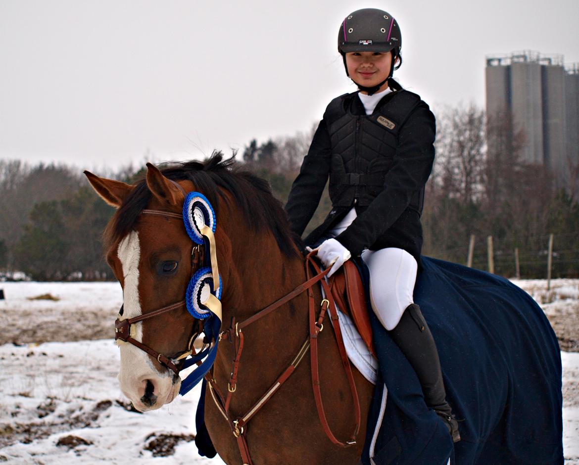 Tysk Sportspony Artos B-pony - -første stævne med to 2. pladser LD og LC <3 billede 18