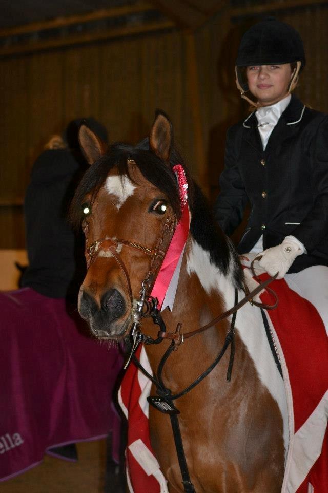 Pinto Felecia [STJERNEN] <3 - 1. plads, en uforglemmelig dag ! <3 <3  billede 14