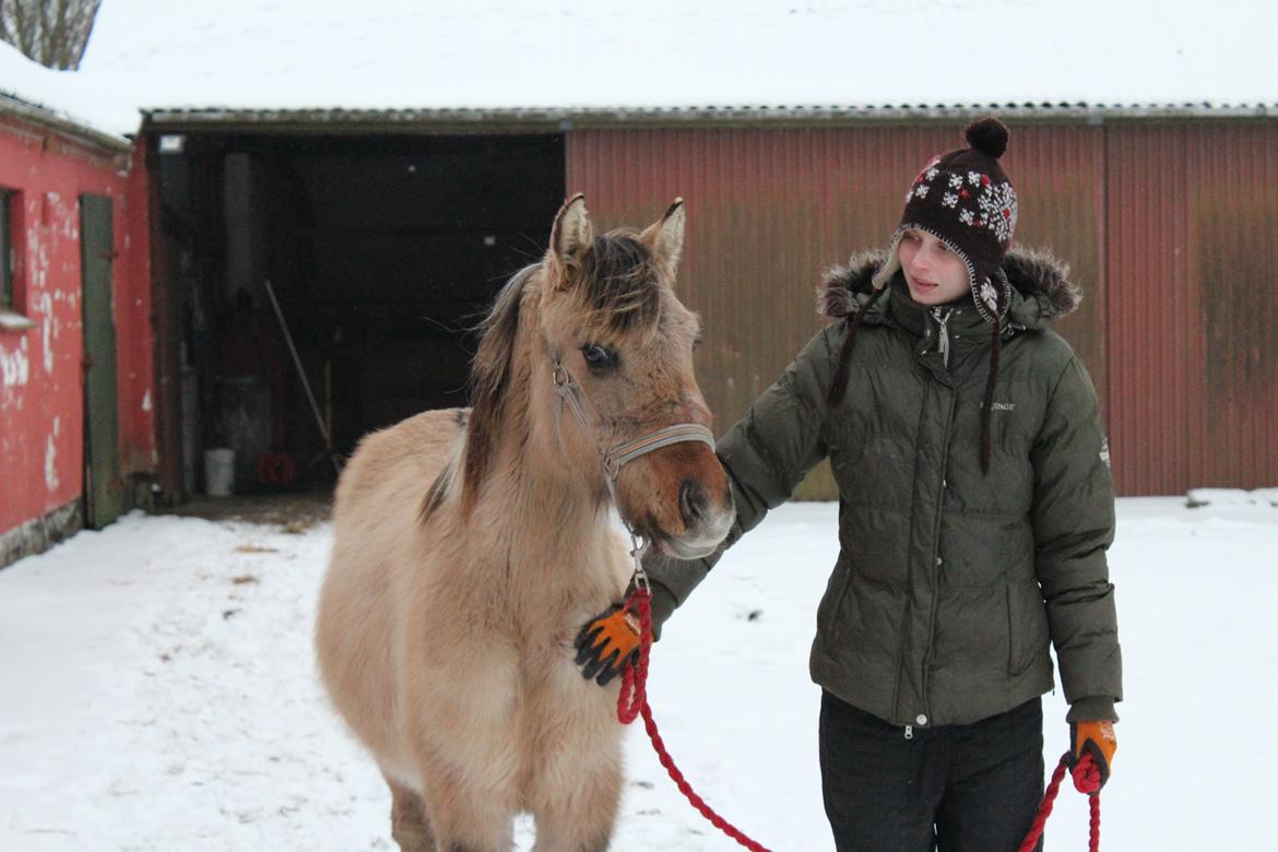 Anden særlig race El bendito R.I.P. billede 16