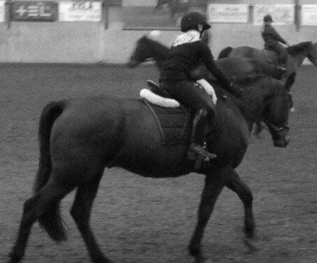 Traver Oscar - Undervisning på drengen<3 billede 2