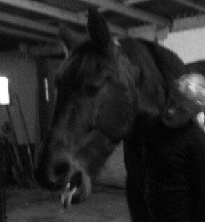 Traver Oscar - Du er dejlig!<3 billede 5