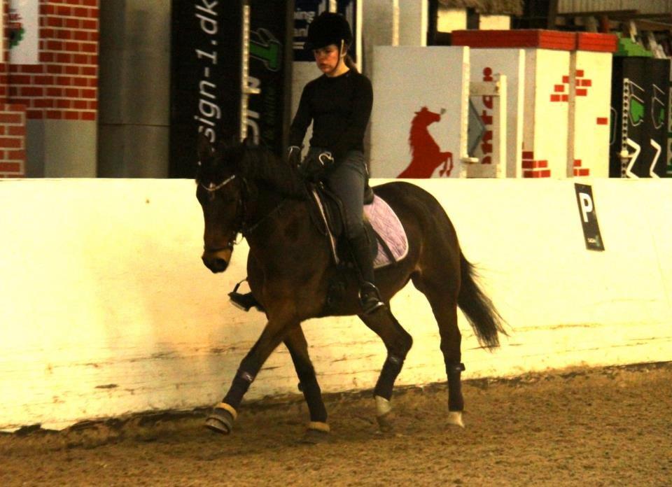 DSP Darling (Prinsessen<3) - Bølle pony <3 billede 13