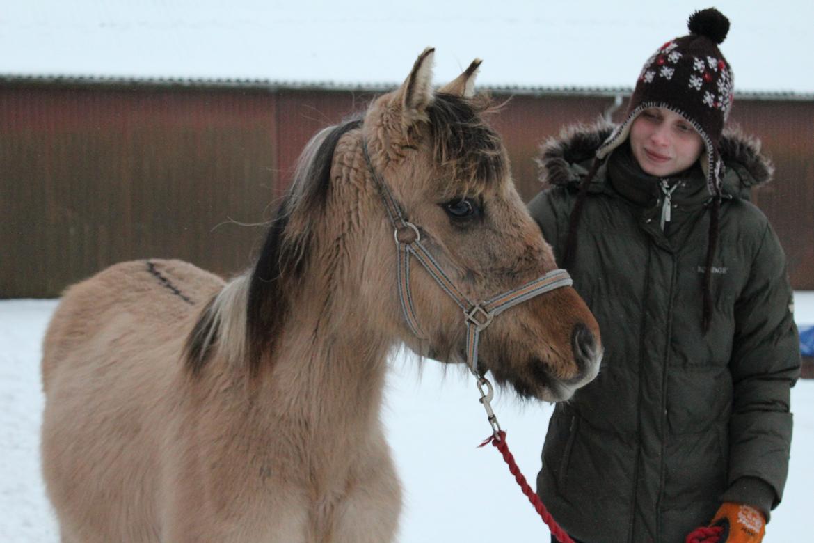 Anden særlig race El bendito R.I.P. billede 17