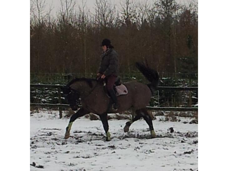 {{currentPhoto.altText}} billede {{currentPhoto.number}}