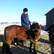 Anden særlig race carisma (tidligere hest)