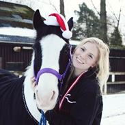 Irsk Sportspony Dublin