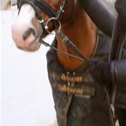 New Forest Tosca (tossen)