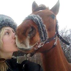 Tysk Sportspony Patricia