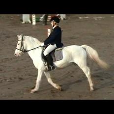 Anden særlig race Plet/Pletten [ELEVPONY] red