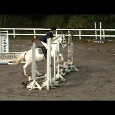 Anden særlig race Plet/Pletten [ELEVPONY] red