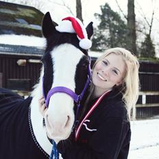 Irsk Sportspony Dublin