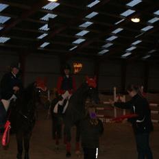 Anden særlig race Kashmina (Ko) (SOLGT OG SAVNET)