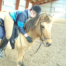 Anden særlig race Tasi <3