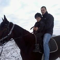 Traver Power Of Roll