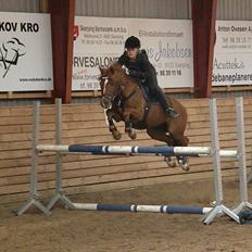 Anden særlig race Papaya