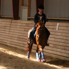 Anden særlig race Papaya