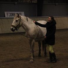 Anden særlig race Enghavegårdens Rocky *Solgt*
