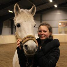 Anden særlig race Enghavegårdens Rocky *Solgt*