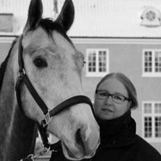 Dansk Varmblod Saxo Special