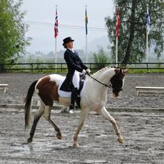 Anden særlig race Lucky Luke