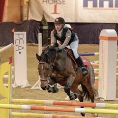 Holstener TT- Lacopia