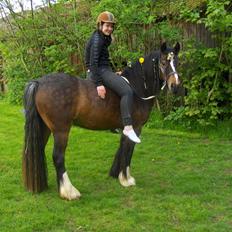 Anden særlig race Anton Berg