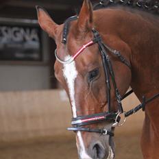 Oldenborg Evita Rosenager <3
