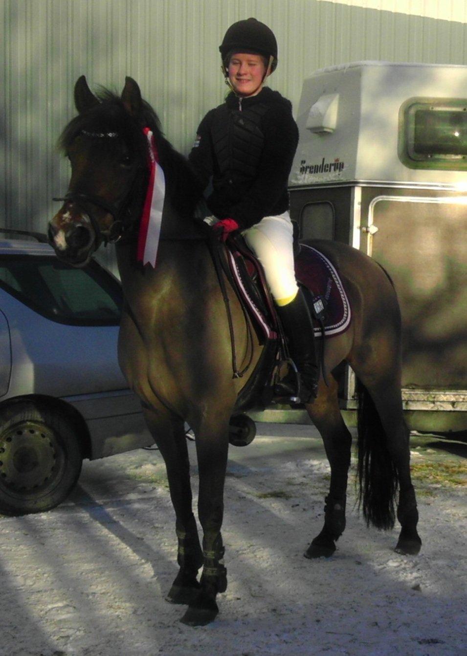 New Forest Debbie <3 - Fristrup 19. januar 2013 nr. 1 i LA metode A billede 7