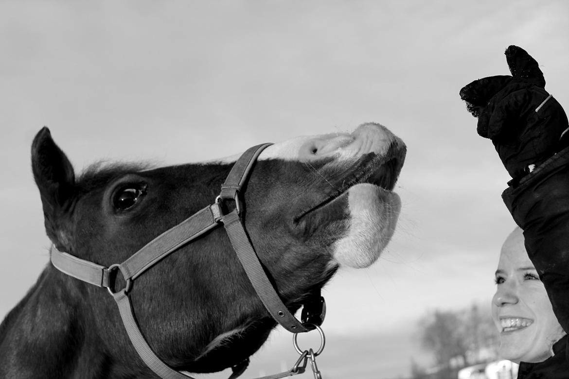 Anden særlig race Bailey<3 - "It doesn't matter where or when or what we say or what we do, as long as it's just me and you."<3<3 billede 10