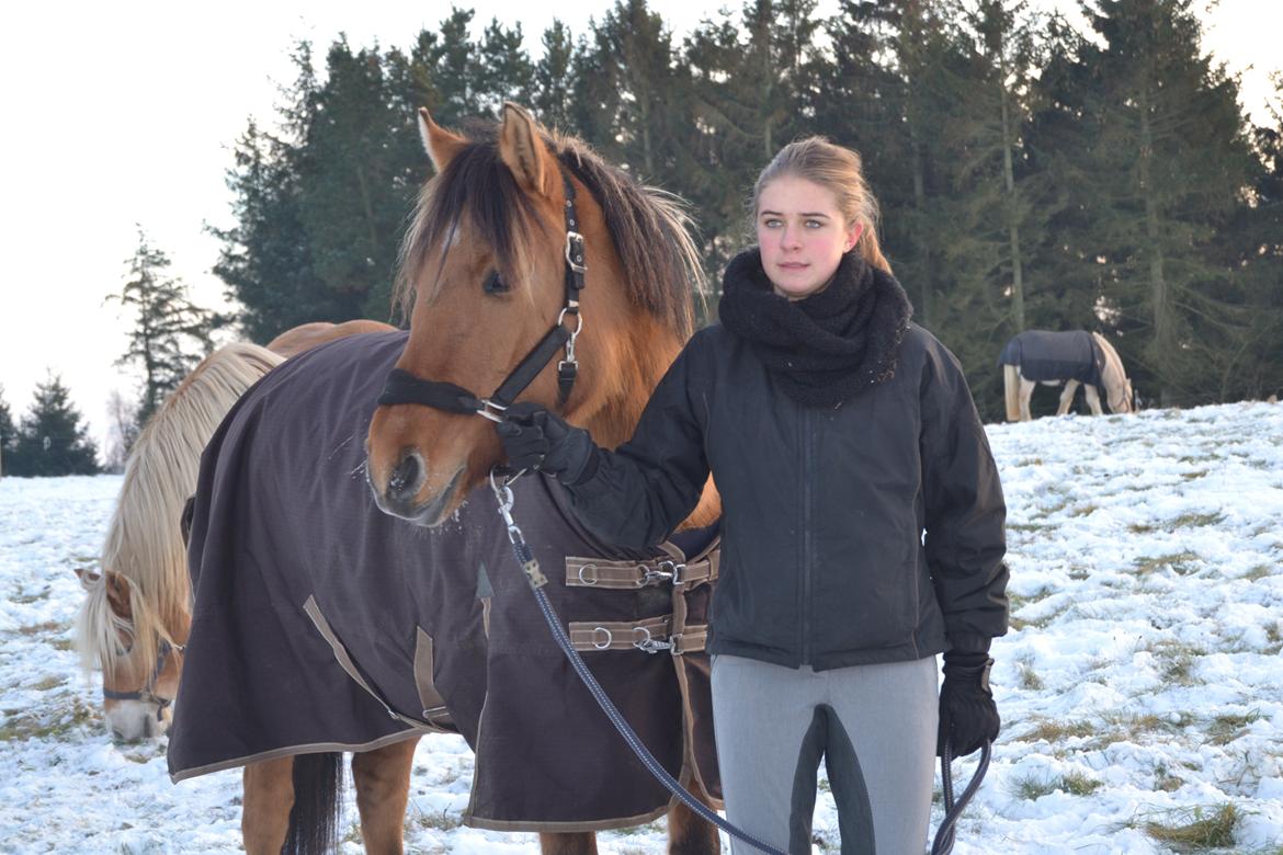 Anden særlig race Baunehøjgaards Ros- a-li billede 1