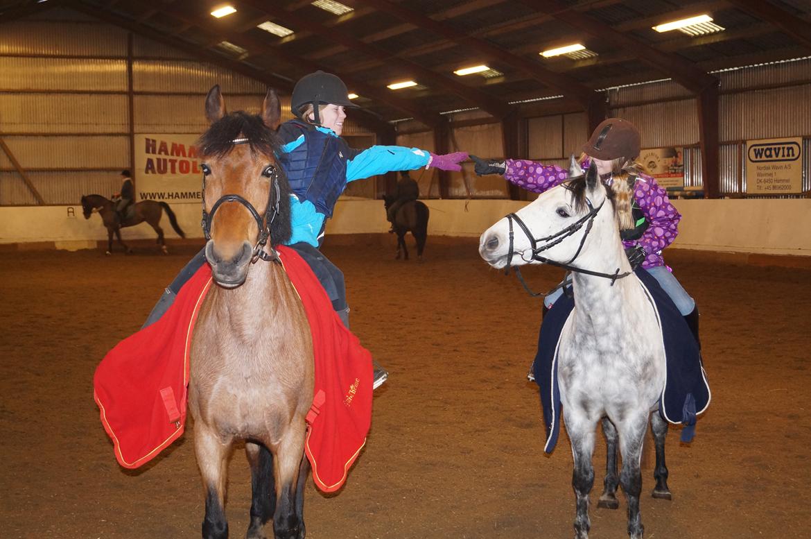 Anden særlig race Magic mix - vbp 4 ever billede 9