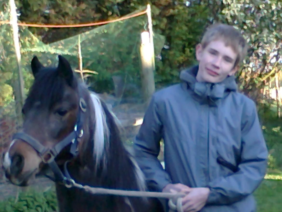 Pinto Musse (bliver til daglig kaldt Rose) billede 8