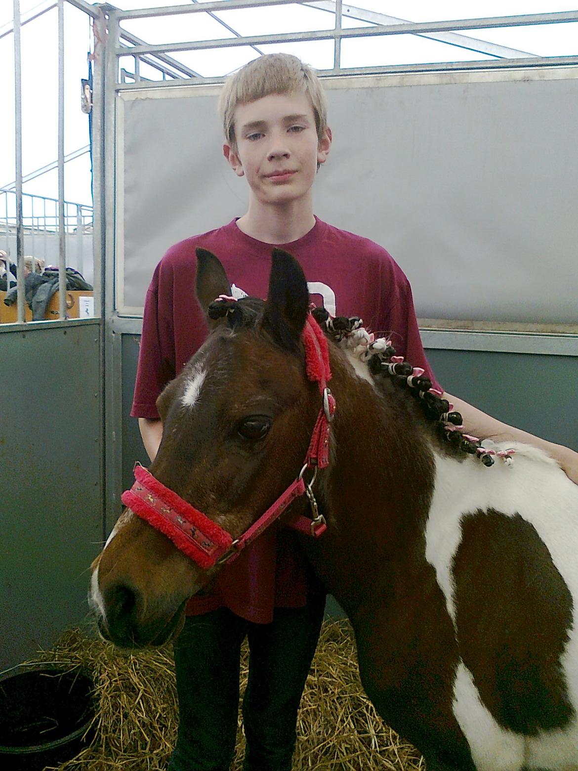 Pinto Musse (bliver til daglig kaldt Rose) billede 18