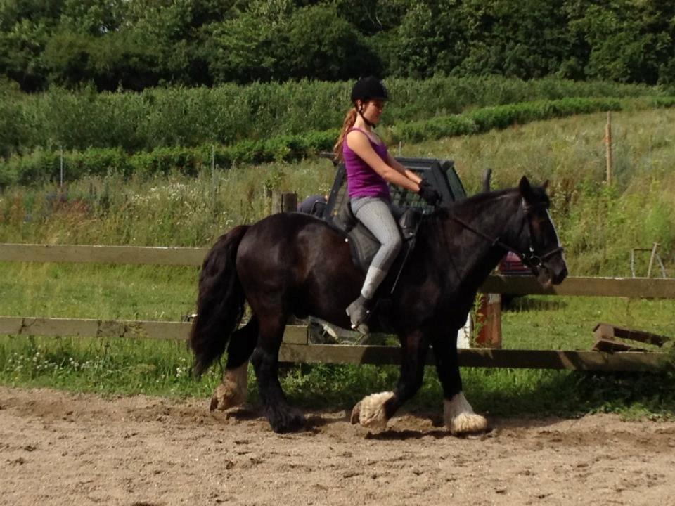 Tinker Dr. Wolle billede 14