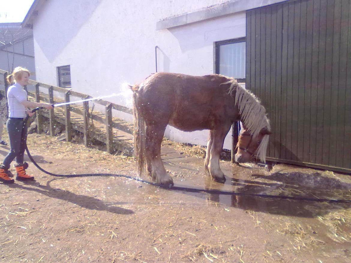 Jyde Emil &min hypper& billede 13