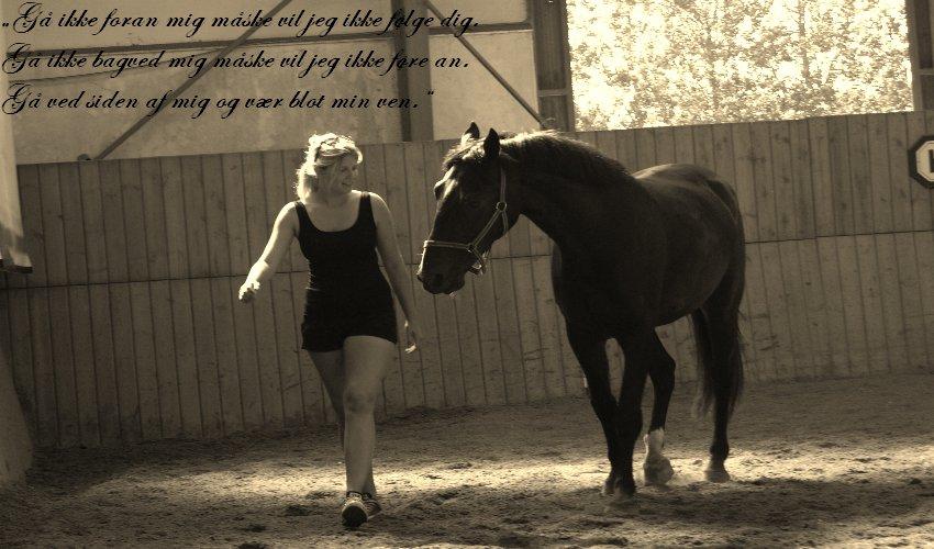 Oldenborg Dulcis Chagall billede 2