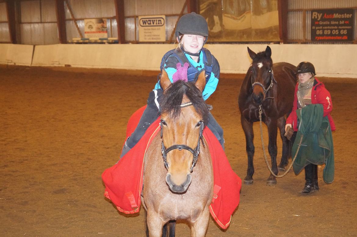 Anden særlig race Magic mix - kaninører<3 billede 11