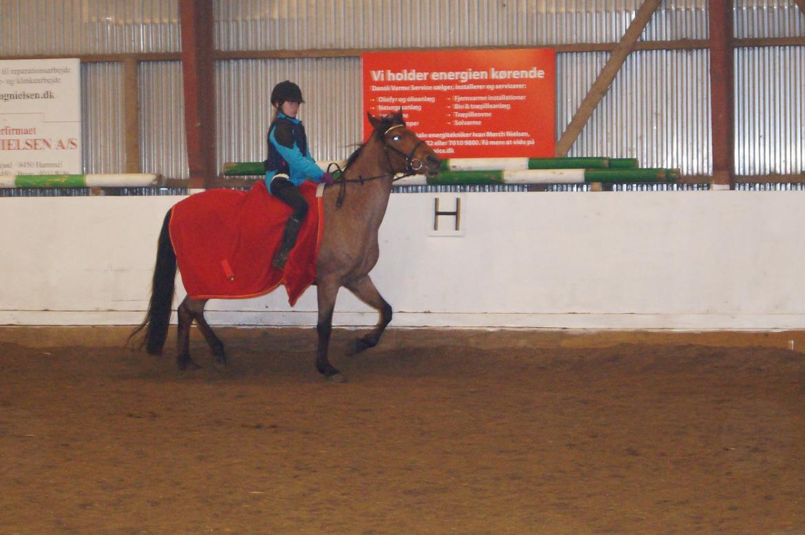 Anden særlig race Magic mix billede 12